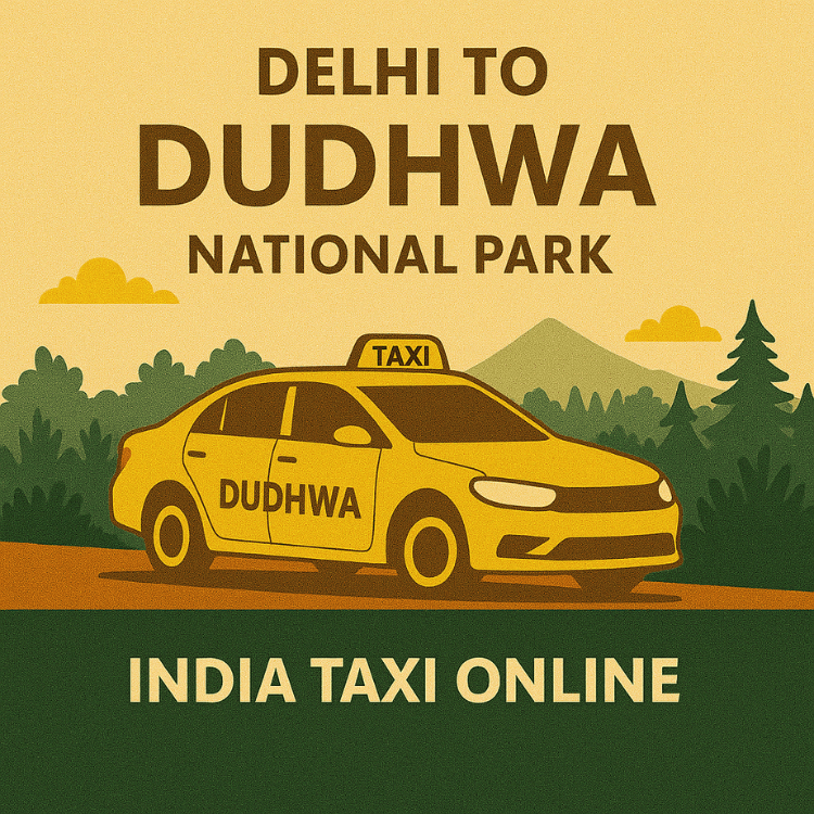 Delhi to Dudhwa National Park Taxi Delhi to Dudhwa National Park Taxi
