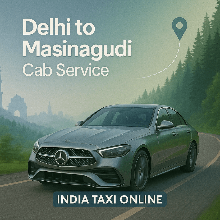 Delhi to Masinagudi Cab Service Delhi to Masinagudi Cab Service