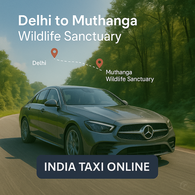 Delhi to Muthanga Wildlife Sanctuary Cab Service Delhi to Muthanga Wildlife Sanctuary Cab Service