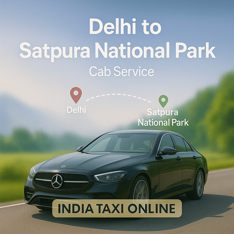 Delhi to Satpura National Park Cab
