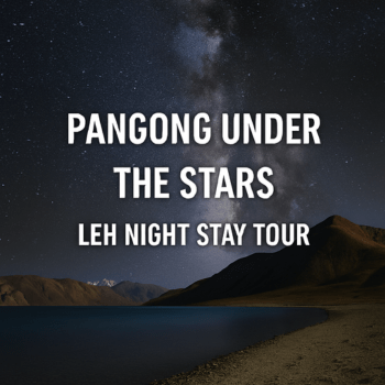 Pangong Under the Stars Leh Night Stay Tour