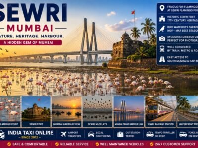 Sewri Mumbai featuring Greater Flamingos, Sewri Fort, Mumbai Harbour, mangroves and the Mumbai Trans Harbour Link