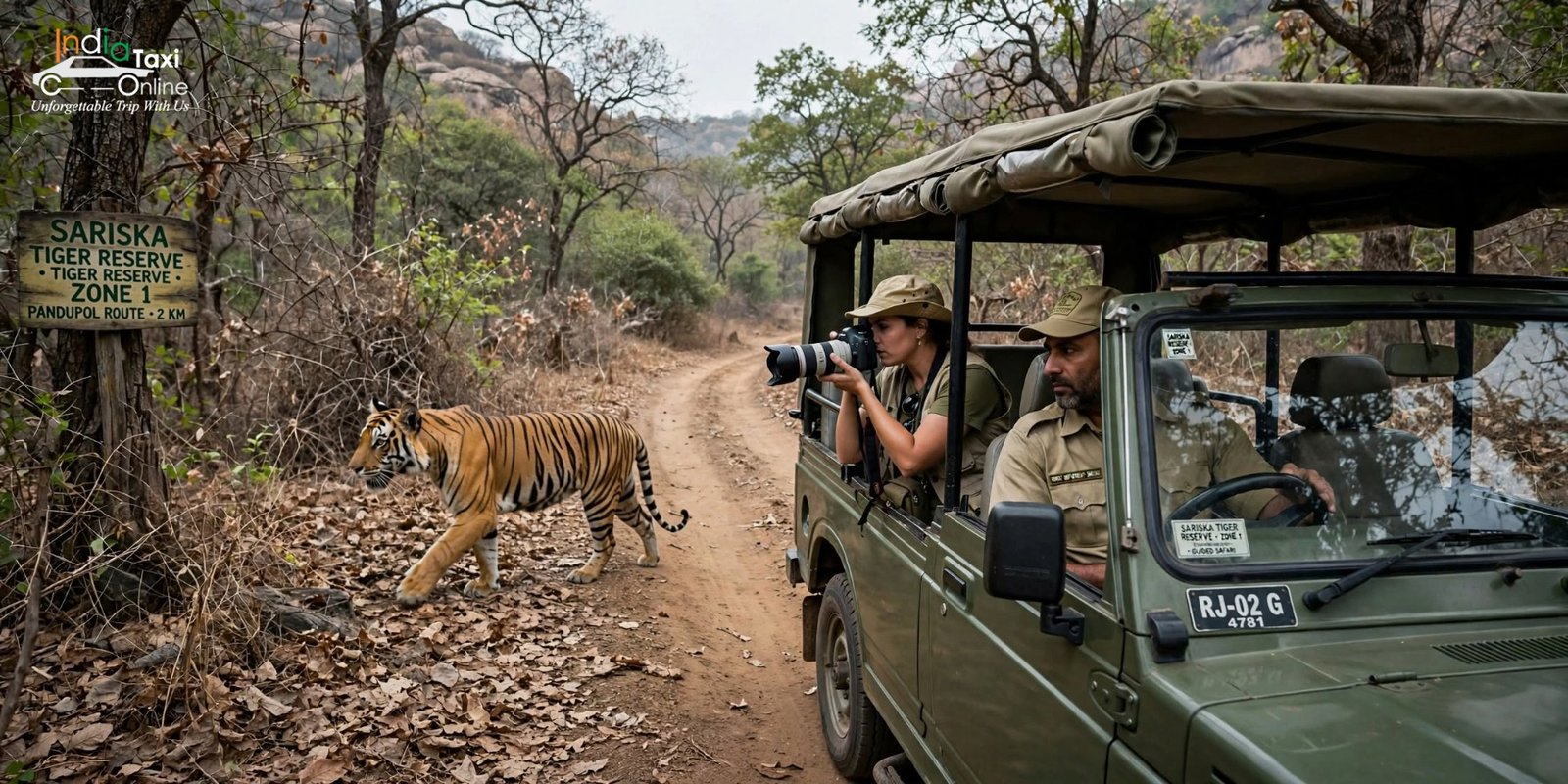 7 Best Weekend Getaways from Delhi Under 300 KM You Can Do in a Day 6 Sariska Tiger Reserve jungle forest safari - wildlife best weekend getaways from Delhi